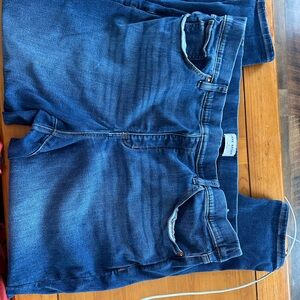 Lane Bryant High-Rise Tighter Tummy Pull Jegging jeans